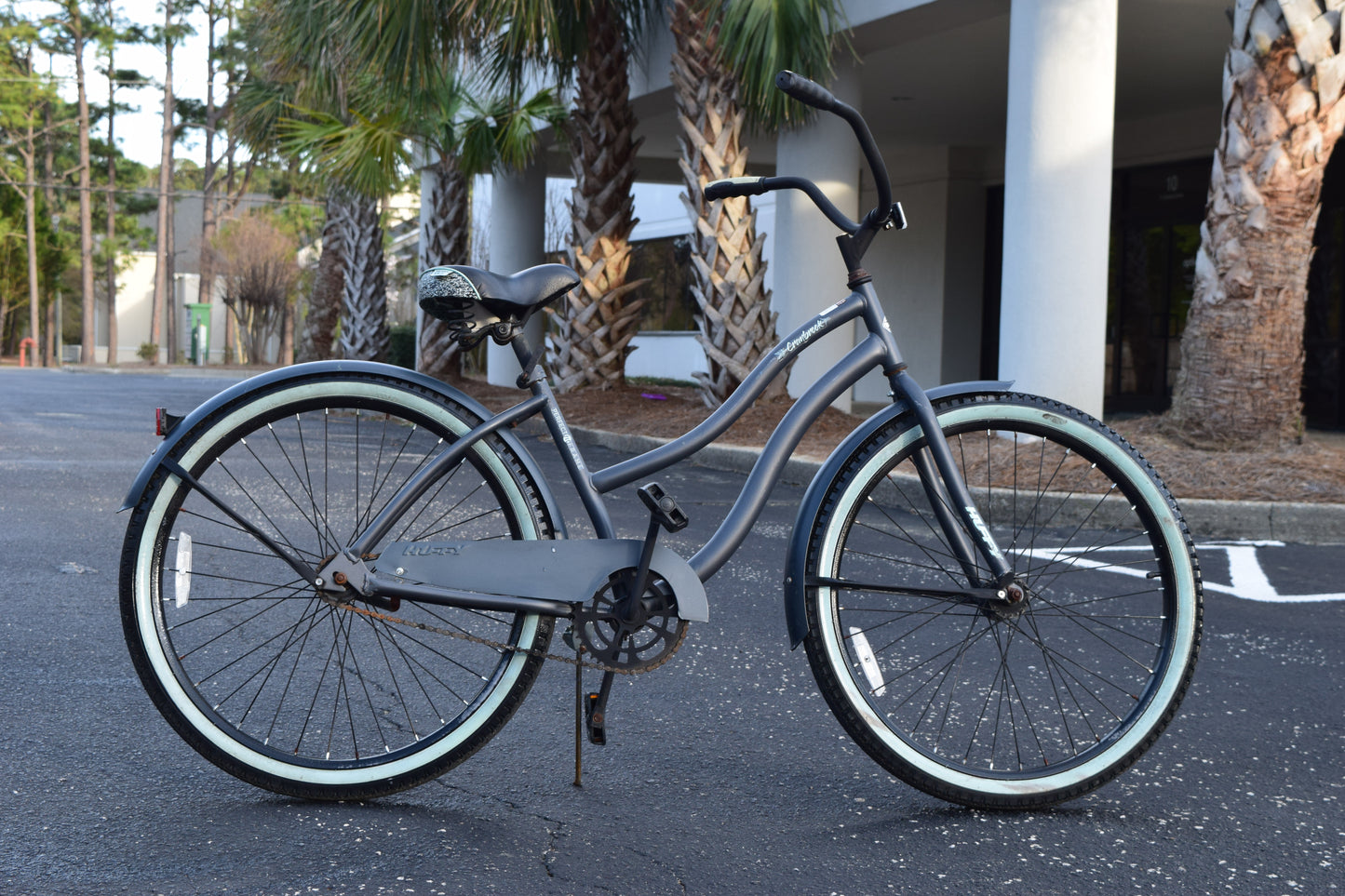 24in Black & Blue Beach Cruiser